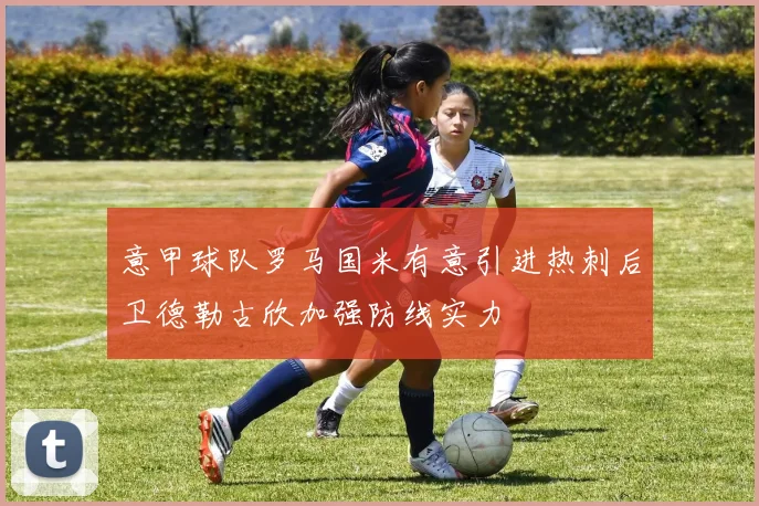 意甲球队罗马国米有意引进热刺后卫德勒古欣加强防线实力