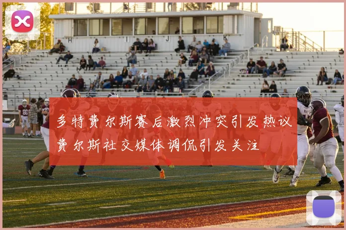 多特费尔斯赛后激烈冲突引发热议费尔斯社交媒体调侃引发关注