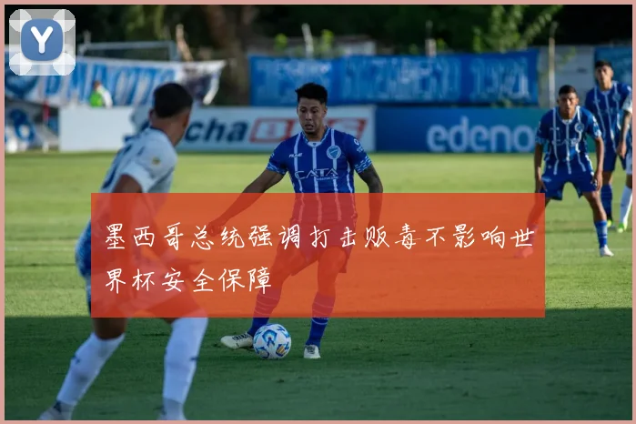 墨西哥总统强调打击贩毒不影响世界杯安全保障