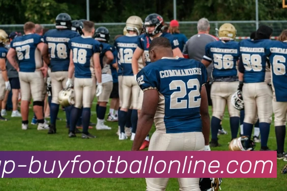 在线买球网站品牌故事